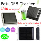 2018 Solar Charging GPS Tracking Device for Animals (V26)