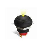 Push Button Switch (PA) Series