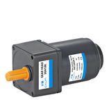 15 Watt AC Induction Gear Motor