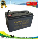 12V110ah VRLA Deep Cycle AGM Battery for Solar System DC110-12