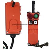 AC/DC 24V Industrial Radio Remote Controller (F21-2S)