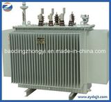 Energy-Efficient 11kv Series 80kVA Power Supply Electrical Transformer