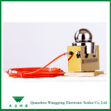 High Sensitivity Load Cell for Weight Measurement