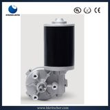 10-100W Automotive or Lumbar Support Gear Brake Mixer Motor