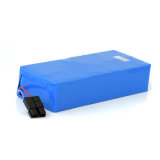 Customized 1000W 48V 20ah Lithium Battery Pack for Ebike