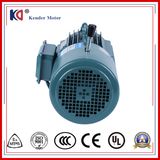 AC Asynchronous Brake Motor with Cast Iron Housing