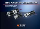 12/24V BLDC Planetary Gear Motor
