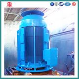 Vertical Solid Shaft Motor Vss Motor