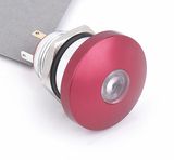 19mm DOT Illuminated Momentary Mushroom Push Button Switch