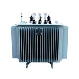 Honle Oil Immersed Electric Transformer