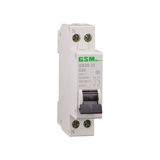 Miniature Circuit Breaker GS30-32