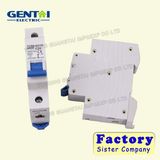 Earth Leakage Circuit Breaker with Over Current Protection RCBO (1P)