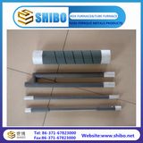 H Type Rod Type Spiral Type of Sic Heater