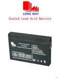 12V2.0ah Back up VRLA Battery