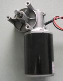 Worm DC Gear Motor (88ZYT-WOG)