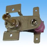 Thermostat Switch