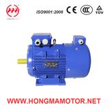 4 Pole Frequency Variable and Adjust Speed Induction Motor with Cast Iron Housing