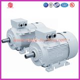 220V 380V 400V Three Phase 100kw Induction Motor