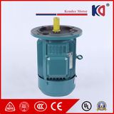 High Speed Three-Phase AC Electric Motor for Pack-Aging Machinery
