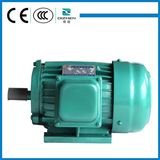 Y Series Squal-Cage Motor