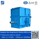 Y Series Squirrel-Cage 800kw 1000rpm 50Hz 10000V AC Motor