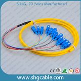 12 Core Sc/Upc Single Mode Bunched Optical Fiber Pigtail