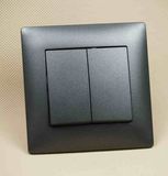Ce/TUV Certified European Standard Frosted 2g 1W Switch