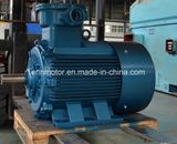 Explosion-Proof Permanent Motor for Mining