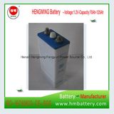 1.2V Rechargeable Nickel Cadmium Battery 100ah for Backup Power System