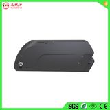 Customized 48V11ah Lithium Ion Battery with BMS