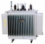 6kv Single Phase Oil-Cooled (ONAN) Distribution Transformer