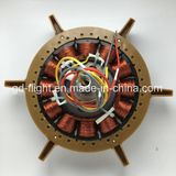 DC Solar Ceiling Fan Motor