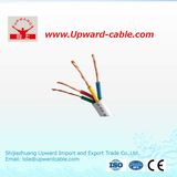 300V-500V Copper Conductor PVC Electrical Wires (16mm 25mm 10mm 35mm 50mm 100mm)