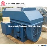 Ykk Series High Voltage Three Phase Induction Squirrel Cage Motor