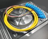Optical Fiber 12 Cores Bound Pigtail for Network Transmission and Wireless CCTV