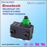 Types of Dpdt Magnetic Micro Switch