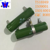 Rx20 Adjustable Coating Tubular Wirewound Resistor