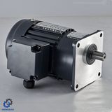 Vertical Type with Brake 3 Phase AC Motor_C