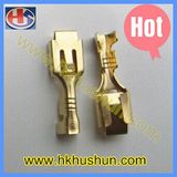 Brass Wire Terminal Connector Auto Car Terminals (HS-RT-03)