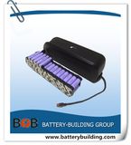 13s5p 48V Hailong Lithium Battery New Hl03 Downtube Battery Pack with Switch and USB Port