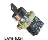 Lay5-Bj21 Two Position Long Handle Push Button Switch