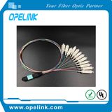 Fiber Optic Patch Cord Drop Cable MPO Harness Patch Cord