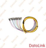 Fiber Optic Multi-Fiber Pigtail/ Patch Cord