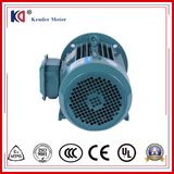 AC Asynchronous Motor with Aluminum Casing