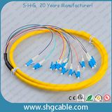12 Core LC/Upc Single Mode Bunch Fiber Optical Pigtail
