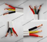 H03vvh2-F Flexible Copper Conductor PVC Insulation and Sheathed Cable