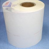 Insulation Material Electrical Insulating Paper Nmn 6640 (H/F CLASS)