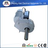 AC Single Phase Low Rpm 4 Poles Gear Electric Motor