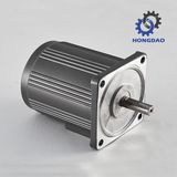 Gear Motor Constant Speed AC Motor_D