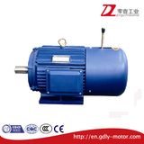 Y2ej Cast Iron Electromagnetic Brake Induction Motor